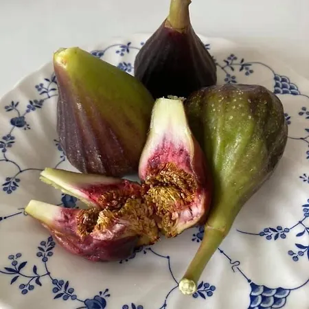 La Vieja Botica 3*